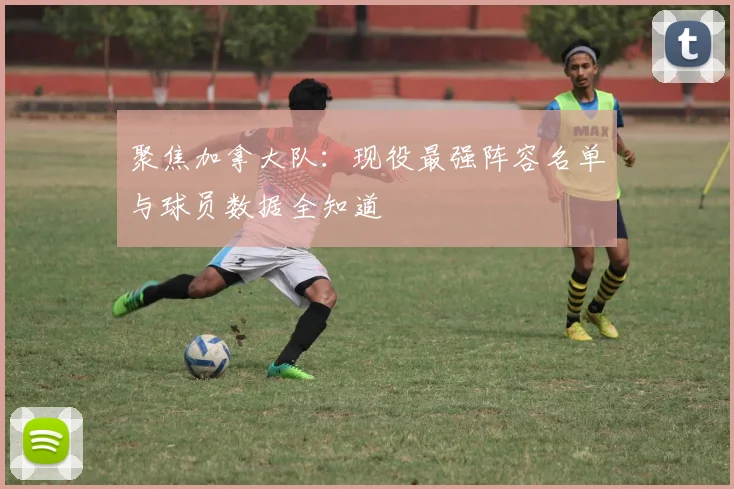 聚焦加拿大队：现役最强阵容名单与球员数据全知道