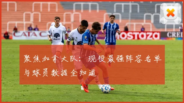 聚焦加拿大队：现役最强阵容名单与球员数据全知道